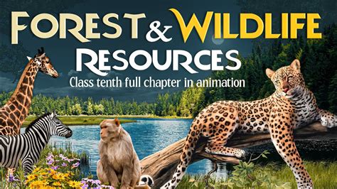 what is the introduction of forest and wildlife