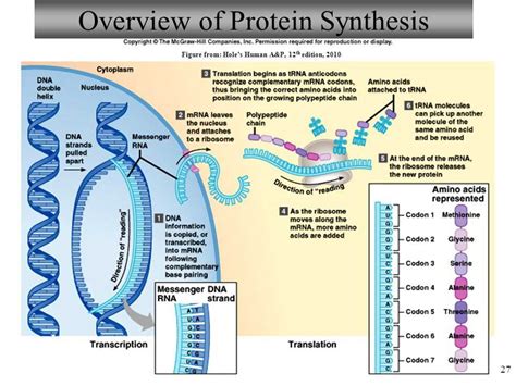 what is the key process of synthesis