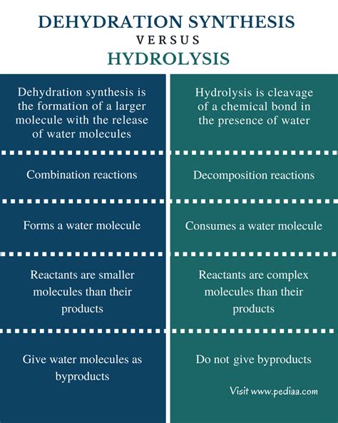 what is the main difference between dehydration synthesis and hydrolysis