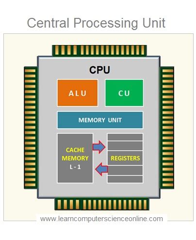 what is the main function of a central processing unit cpu )