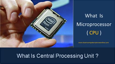 what is the main function of a cpu central processing unit in a computer