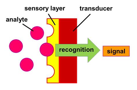 what is the main function of biosensors