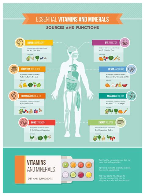what is the main function of minerals and vitamins