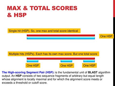 what is the max score in blast