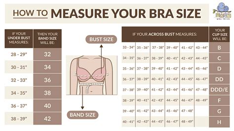 what is the maximum bra cup size