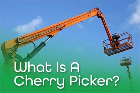 what is the meaning of pickery