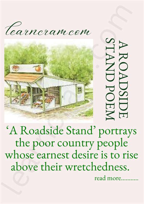 what is the meaning of roadside stand
