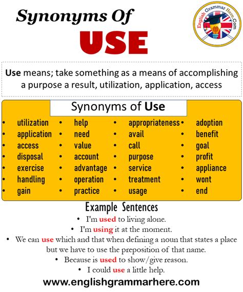 what is the meaning of usage in english