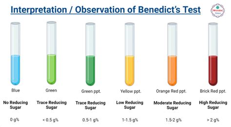 what is the negative control in the benedict's test