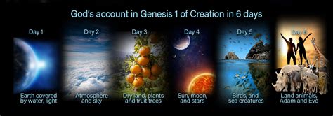 what is the order of creation in genesis 2