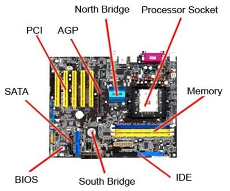 what is the primary function of a computer motherboard