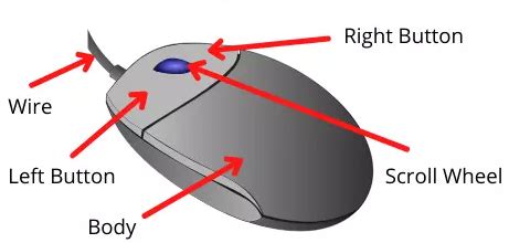 what is the primary function of a mouse as an input device