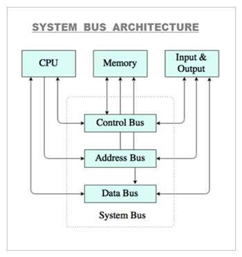 what is the primary function of buses in a computer memory system