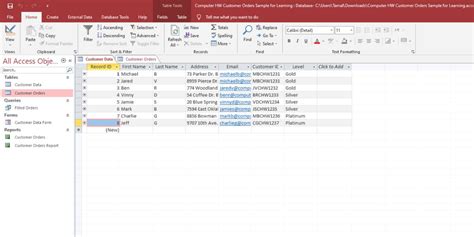what is the primary function of microsoft access as a database management system