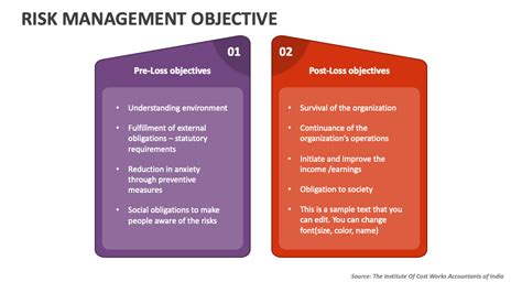 what is the primary objective of risk management in software engineering