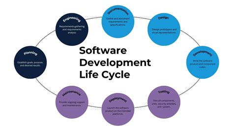 what is the primary purpose of beta testing in the software development life cycle