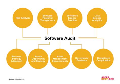 what is the primary purpose of computer audit software