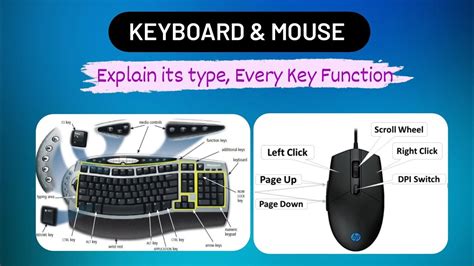 what is the purpose of a computer mouse and keyboard