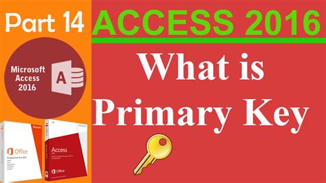what is the purpose of a primary key in access 2016