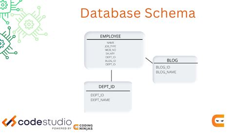 what is the purpose of database schema in dbms