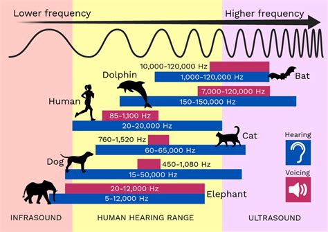 what is the range of audio frequency signal