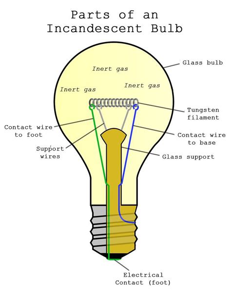 what is the role of a light bulb in a circuit