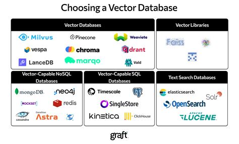 what is the role of vector database in ai application mcq