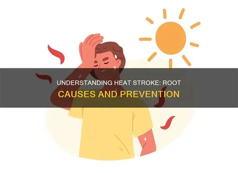 what is the root cause of heat stroke quizlet