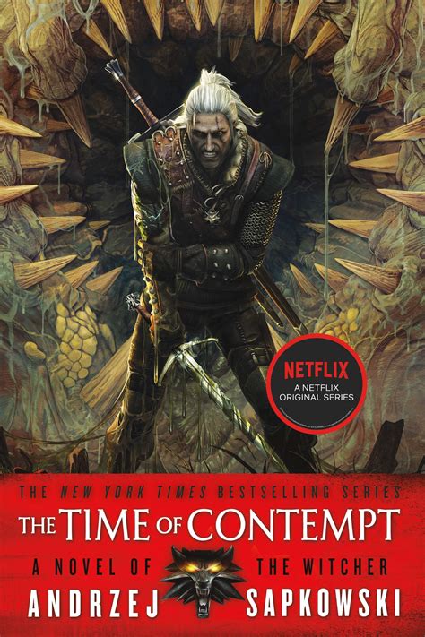 what is the second witcher book called