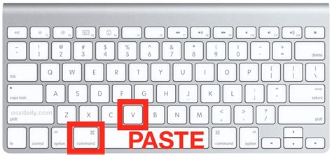 what is the shortcut key to copy and paste in mac