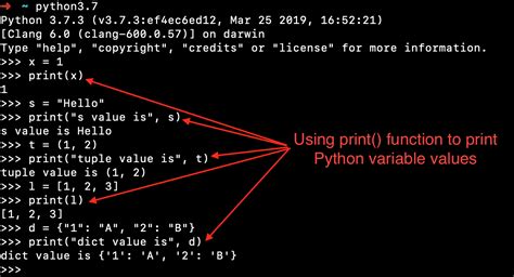 what is the standard naming convention for variables used in python