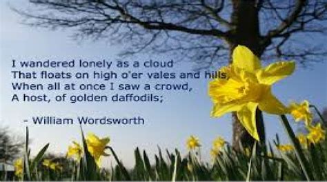what is the summary of daffodils