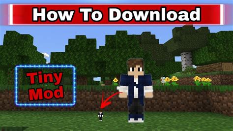 what is the tiny mod called in minecraft