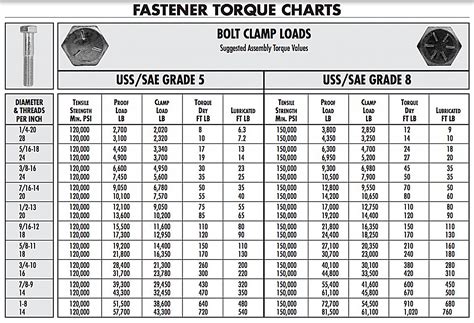 what is the torque specs for head bolts