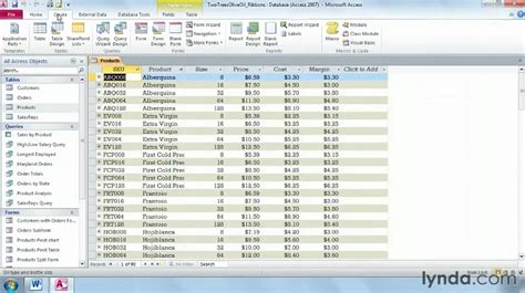 what is the use of ms access 2010