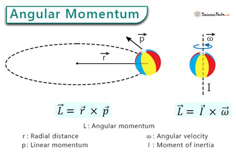 what is the vector formula of angular momentum