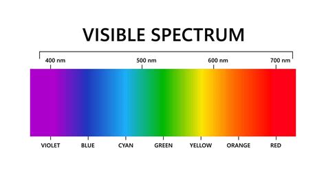 what is the visible light spectrum in order