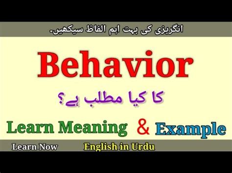 what is this behaviour meaning in urdu