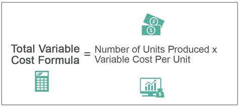 what is total variable cost in economics class 11