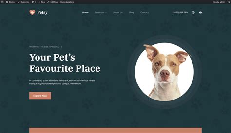 what is transparent header in wordpress