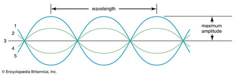 what is transverse in science