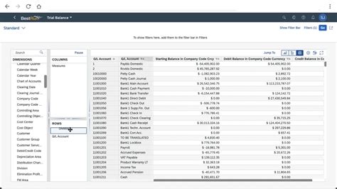 what is trial balance in sap
