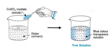 what is true solution with example