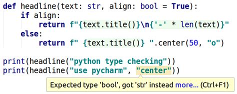 what is type checking in python