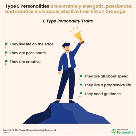 what is type e personality