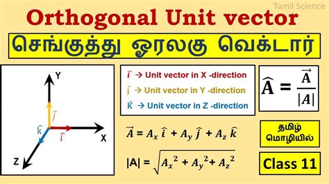 what is unit vector class 11 physics