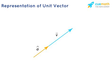what is unit vector in physics with example