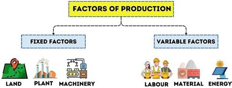 what is variable factor in economics