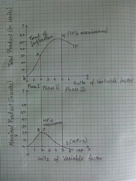 what is variable in economics class 11th