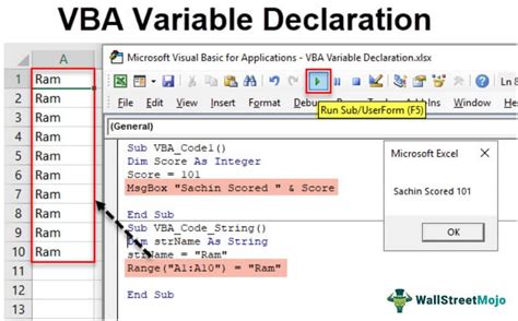 what is variable in vba